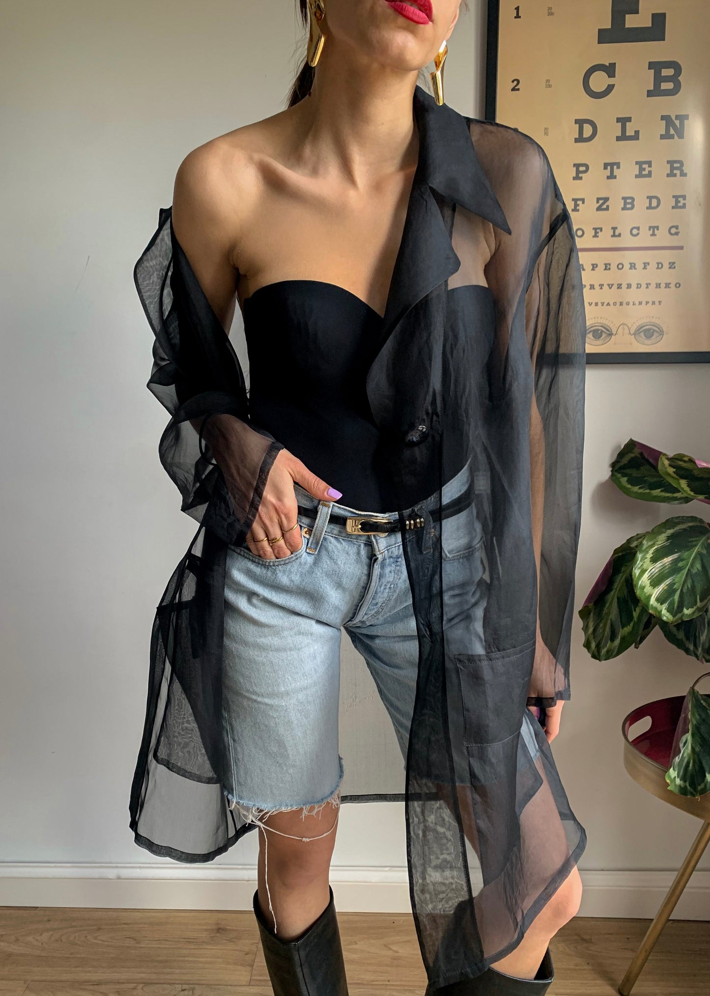Vintage sheer black organza