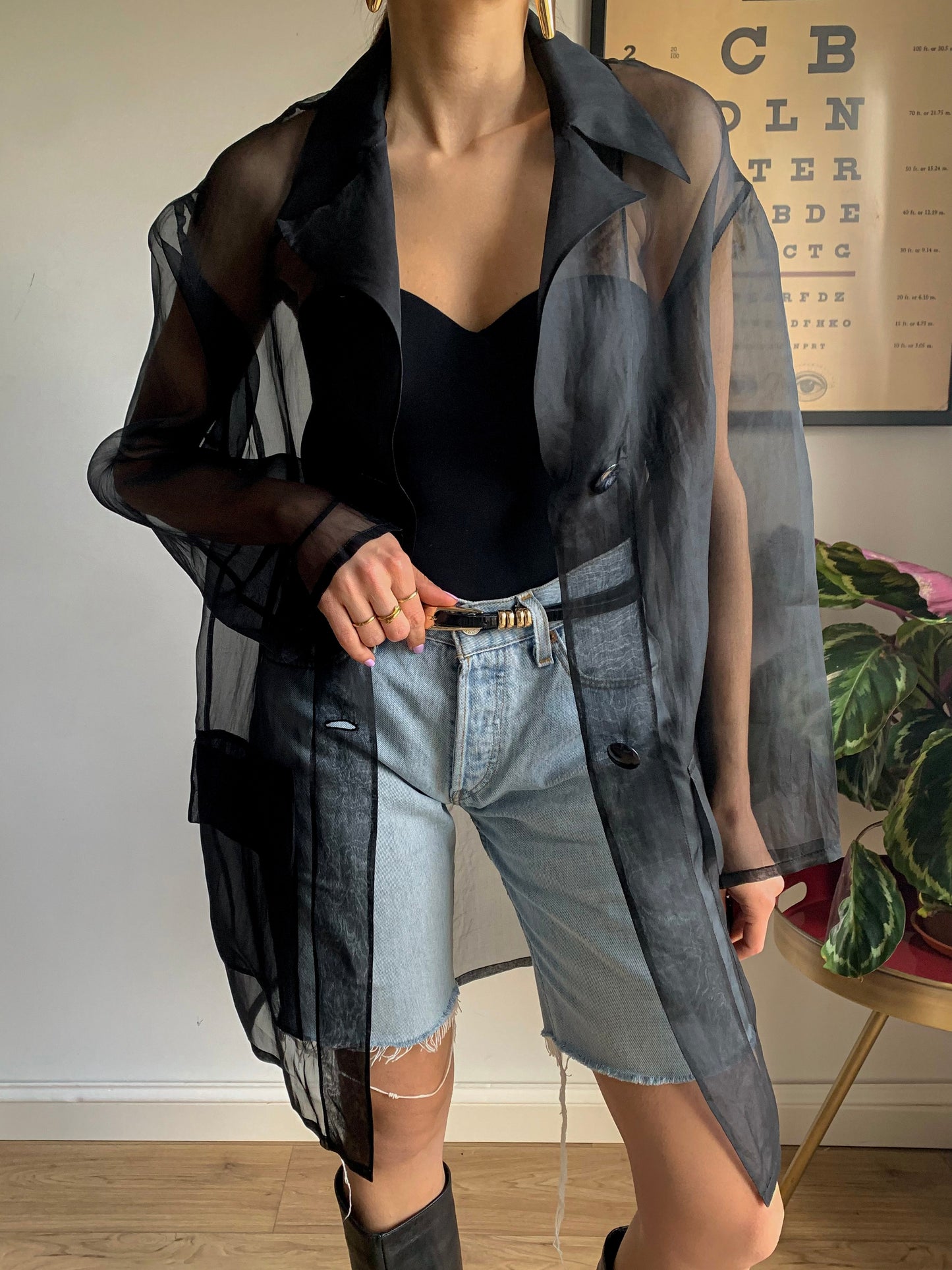 Vintage sheer black organza
