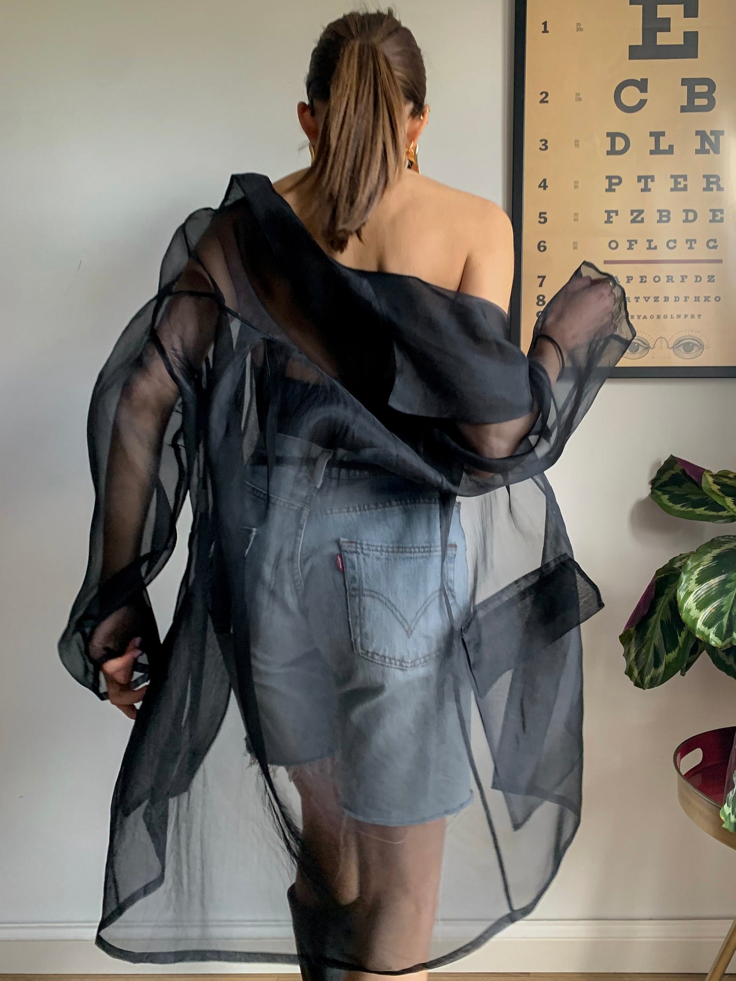 Vintage sheer black organza