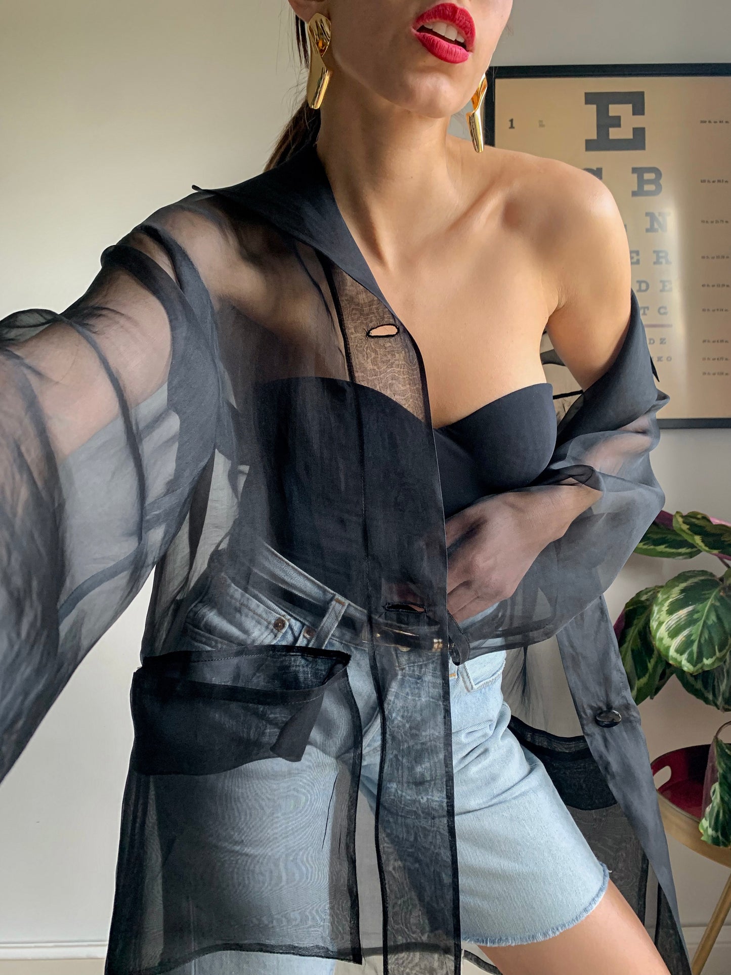 Vintage sheer black organza
