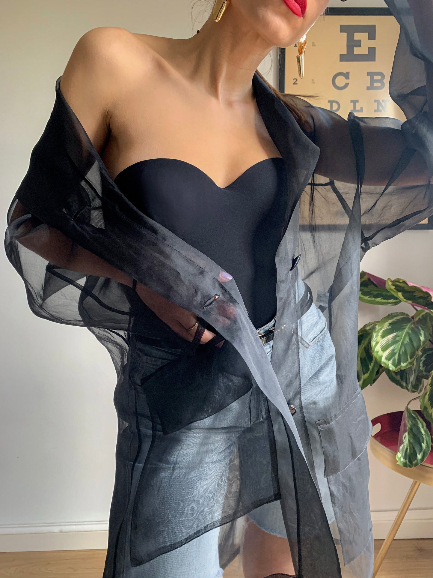 Vintage sheer black organza