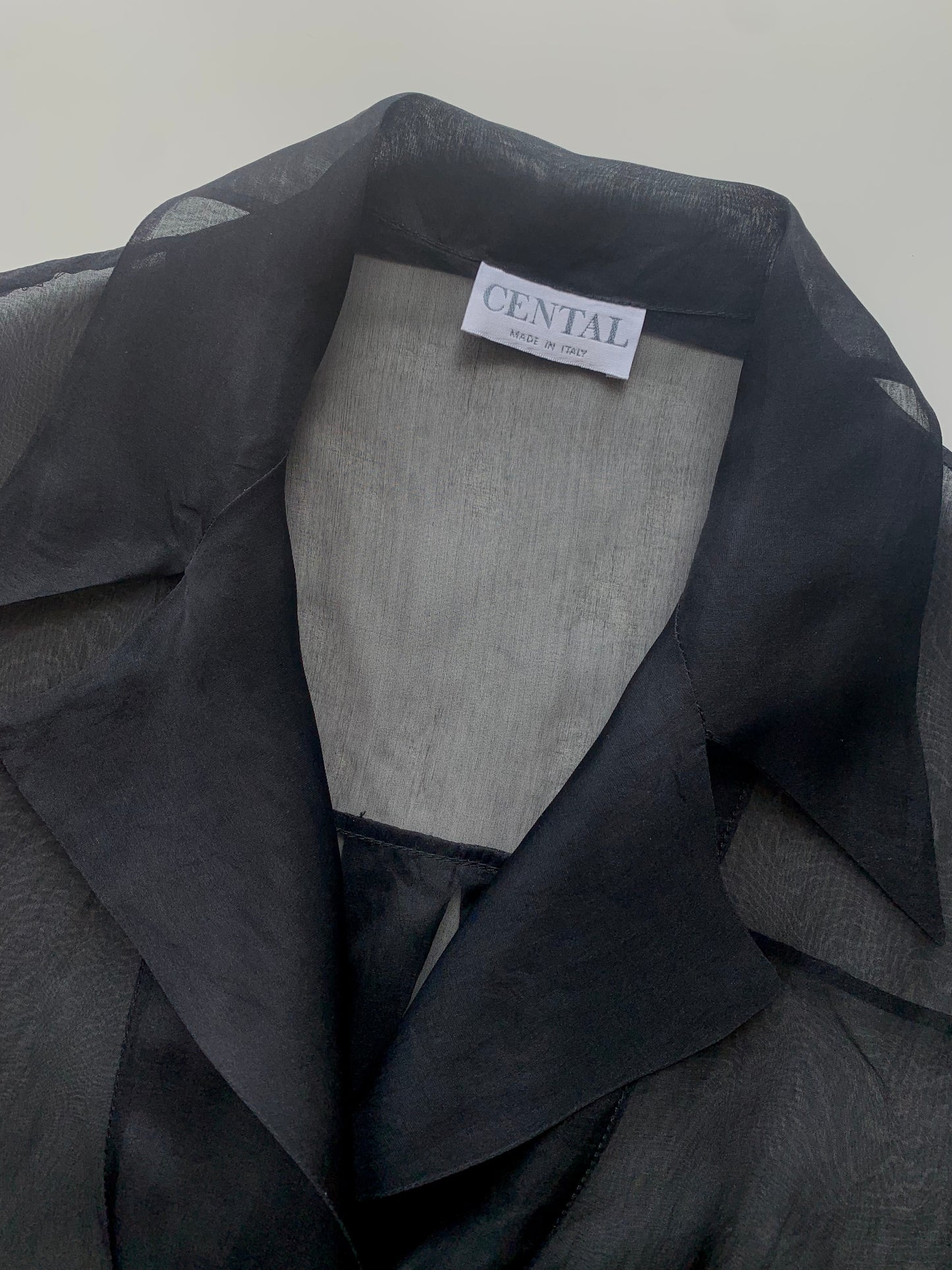 Vintage sheer black organza